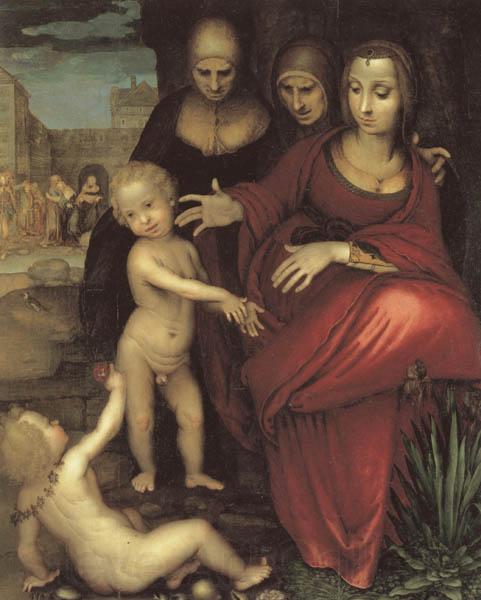YANEZ DE LA ALMEDINA, Fernando St.Anne,the Virgin;St Elizabeth,St,john,and the Christ Child Norge oil painting art